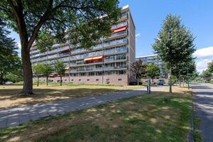 Goudvinklaan 48